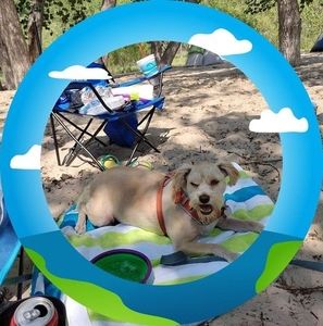 Meet your Posher, Sharon